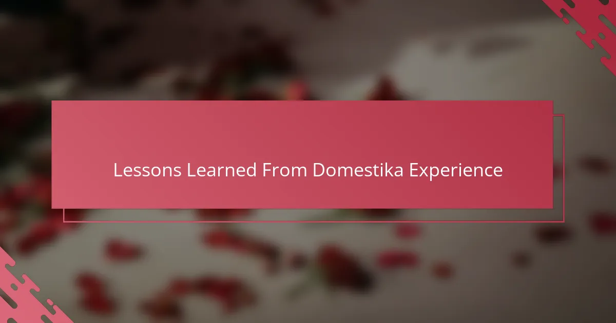 Lessons Learned From Domestika Experience